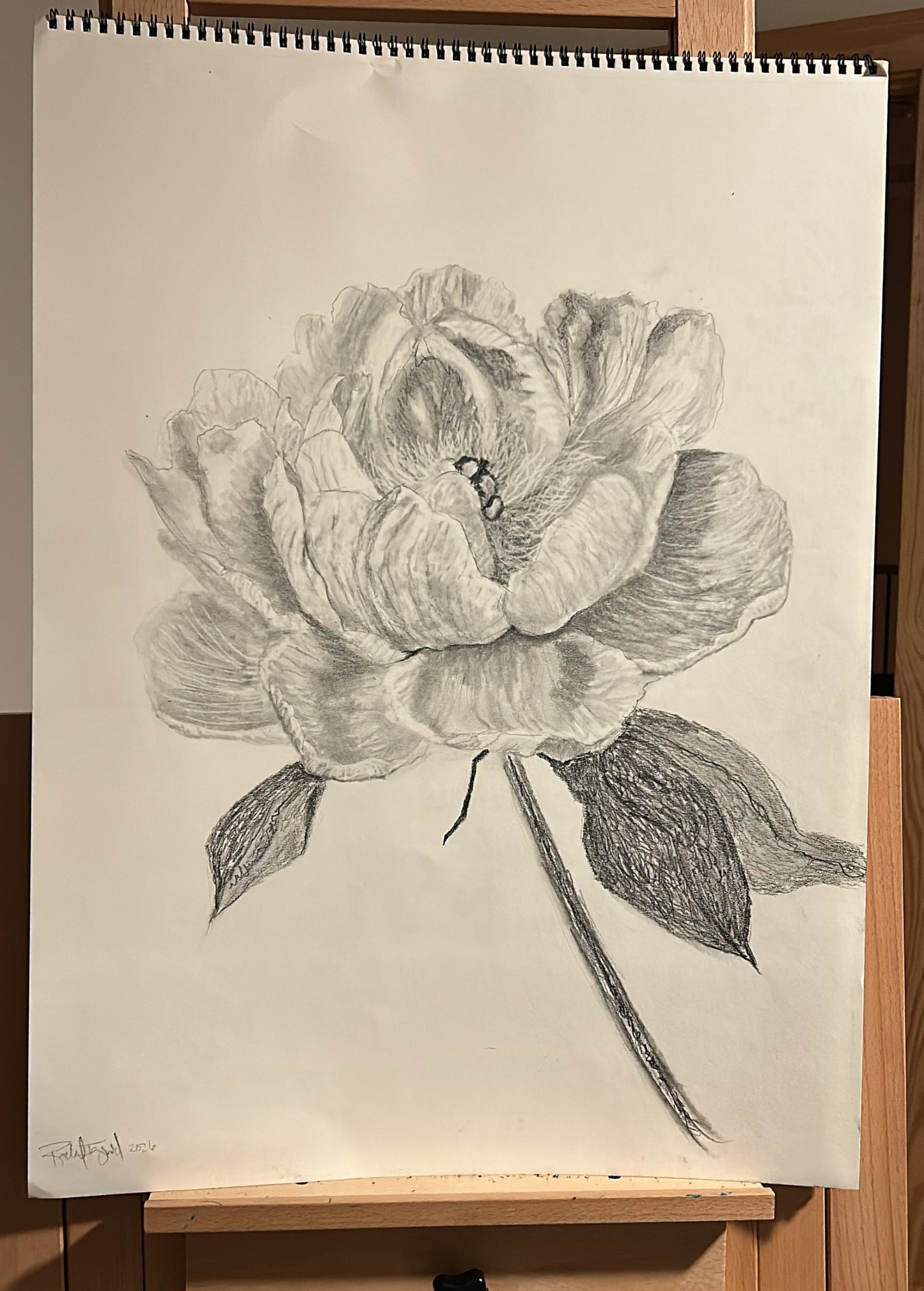 Large black and white floral drawing on a wooden easel by Rachel Ingrid